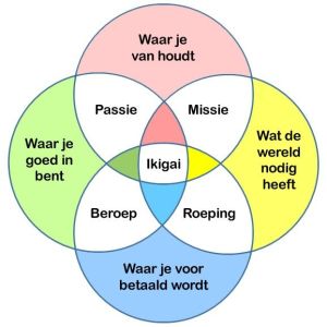 46a6778a2500aedbb769fda4a8492e6c