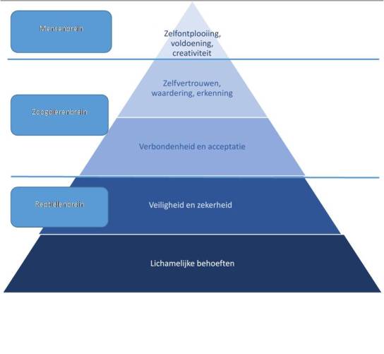 drie breinen en maslov