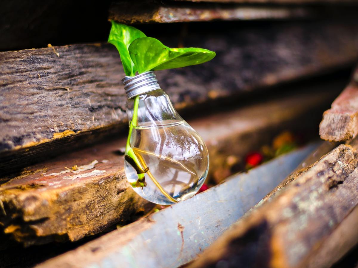 Zit je creativiteit links of&nbsp;rechts?